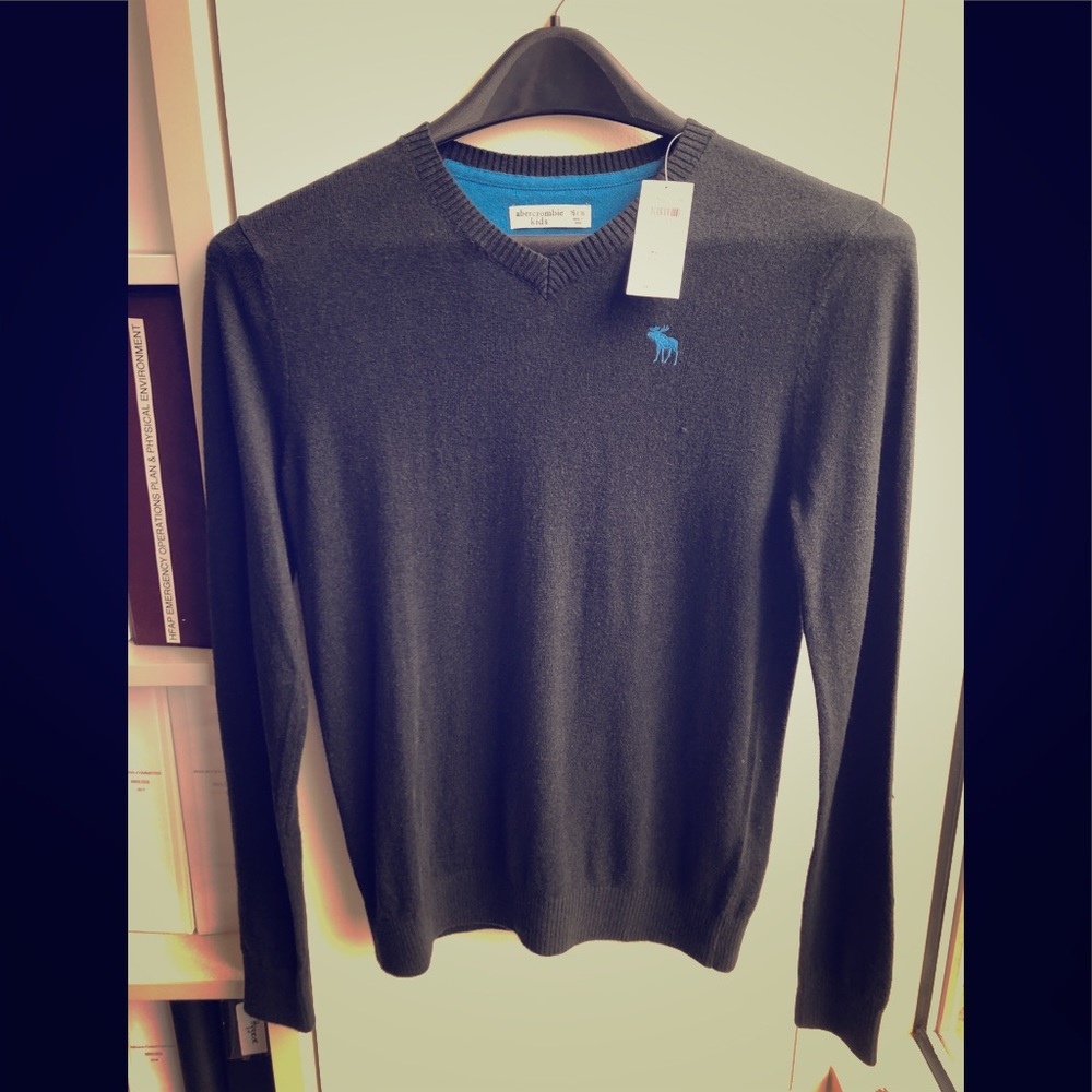 Abercrombie Icon V-Neck Sweater